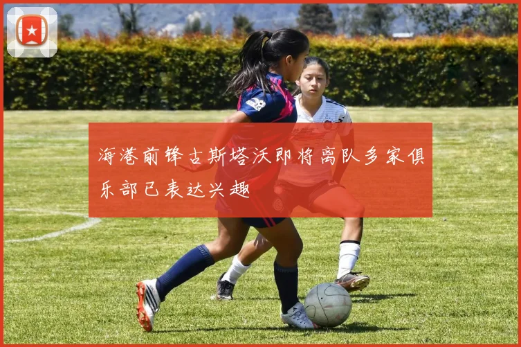海港前锋古斯塔沃即将离队多家俱乐部已表达兴趣