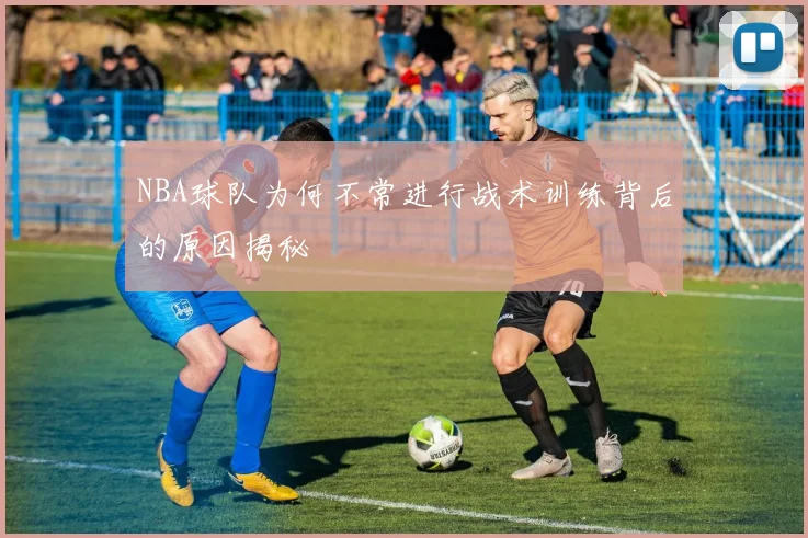 NBA球队为何不常进行战术训练背后的原因揭秘