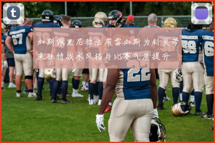 加斯佩里尼称法布雷加斯为科莫带来独特战术风格与比赛气质提升